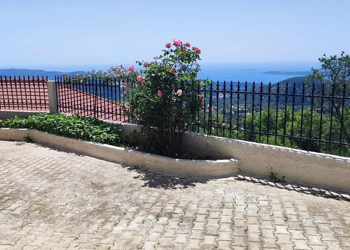 Fioravante ארגוסטולי