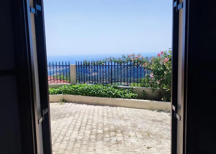 Fioravante * ארגוסטולי